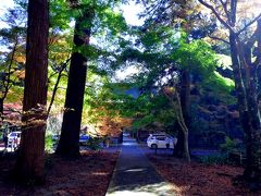 大矢田神社の紅葉