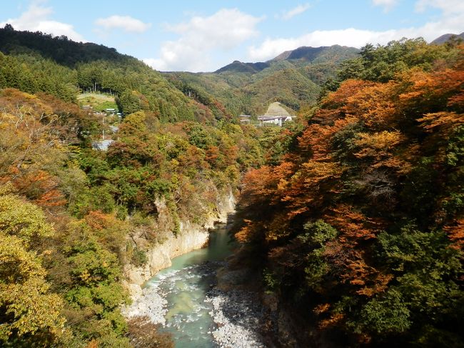 今月始め（2012年11月）榛名湖、吾妻渓谷、軽井沢の美しい紅葉を巡りました。<br />
