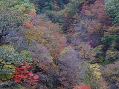 福島県の紅葉満喫　白河～大内宿～芦ノ牧温泉～猪苗代湖