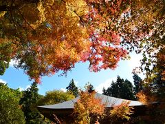 大分屈指の紅葉スポット両子寺