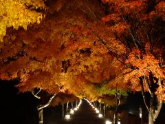 ◇2012 秋の週末 ‐ 紅葉と温泉と観劇と◇ 【松本、浅間温泉、岡谷＆富士吉田】（長野県／山梨県）