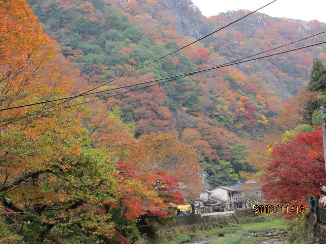 約１時間程の花貫の散策を楽しんだ後、次に向かったのは、同じ県北にある「袋田の滝」。新聞広告とかＤＭで、東京からの日帰りツアーの定番として、必ずこの「袋田の滝」が載っているが、それはこの滝が日本３大名瀑の一つに数えられているからである。<br /><br />三大名瀑。日本百名山は深田久弥が名付け親だが、この３大名瀑、誰が名付けたのか知らないが、「華厳の滝」、「那智の滝」、と上位の二つを並べれば、この滝を見たことのない人でもその威容は想像できそうだ。ここで「白糸の滝」と争っても仕方がない。<br /><br />袋田は県北大子町の山間にあり、先刻の高萩とは隣町みたいなもので、バスでも１時間そこそこ。配られたお弁当を車内で食べて、食後のミカンを食べている内に大子に到着する。この「大子」は「だいご」と読んで、聖徳太子の「太子」ではない。どうして、太子とにたような字を書いて、大子と言う地名にしているのか、その背景は分からないが・・。<br /><br />午後から晴れると言っていた天気予報も、晴れ間を見せず、うっとうしい曇り空。バスを降りて、滝に向かう途中、空行が心配だ。しかし、まあ、この調子で持つだろう。空の具合を心配しながら、土産物店街を急ぎ足で通り抜け、滝の展望台に上げてくれるエレベーター乗り場まで急いだ。