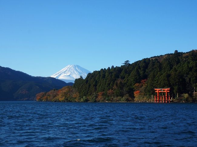 神奈川県の代表的観光地『箱根』<br /><br />我が家からは泊りで行くには近く日帰りではちょっと遠いだけに<br />まともに観光をしたことがない。<br /><br />「今年は秋の家族旅行はナシだよ。」　夏の終わりに宣言され<br /><br />お泊りではない紅葉名所ってどこだろうと考えた時ハっと気がついた。<br /><br /><br />そうだ、箱根行こう。