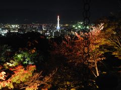 秋の日帰り京都観光☆東福寺の紅葉＆清水寺ライトアップに感激♪