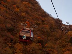 箱根ロープウェイからの紅葉　紅葉シーズンの日曜日の箱根は大混雑　２０１２年１１月１８日