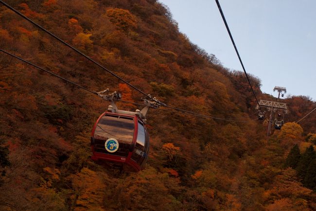 箱根の紅葉情報を旅行記の順番を変更してアップします。<br />本日、お宿をチェックアウト後、箱根ロープウェイで紅葉を見て来ました。<br /><br />箱根ロープウェイの始発駅、早雲山の駐車場は満車状態。<br />なんとか車椅子用駐車場に停めさせていただきましたが、入場制限でロープウェイ乗車までに３０分ほどかかりました。<br /><br />大涌谷周辺の紅葉としては、やはり、そろそろ終盤に入っているようです。<br />でも、久しぶりに息子も紅葉の空中散歩を楽しみました。<br /><br />では、その様子です。<br />