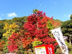 秋を求めて in 九年庵 （佐賀県神埼市）