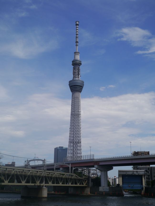 東京って実は初めて行きます。<br />初めてだからこそあれも行ってみたいここも行ってみたいばっかり。<br />環状線の一駅一駅が観光地のようなもんです。<br /><br />ただ７月に東京に行くのは間違っていました(・_・;)<br />そんな気はしていたけど暑すぎる！<br />おかげで一緒に行った友人とも会話の少ないこと　笑。<br /><br />汗かきには地獄の屋外めぐりでもありました。