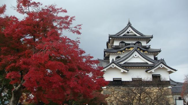 急に思い立って琵琶湖に浮かぶ島、竹生島へ湖上の船旅に行って来ました。<br />観光船の発着地が彦根だったので、ついでに彦根城にも立ち寄りました。<br />