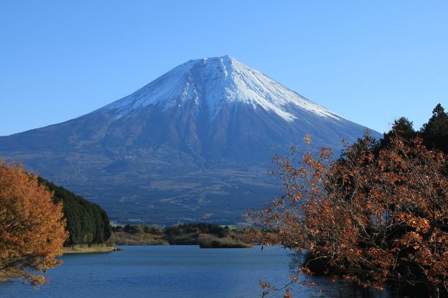 夫の会社の創立記念日休暇を利用し、伊豆の温泉への〜んびり旅<br />一日目は秋晴れ、箱根まで行くつもりでしたが、富士山がきれいに見えたので、いつもの田貫湖に寄って、写真撮影<br />ちょうどいい感じに雪もかぶっていて、日本一の富士山を拝めました(^^♪<br />やっぱ、私は晴れ女<br /><br />作成中・・