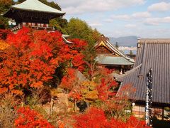 大混雑の［安芸の宮島］で紅葉狩り～紅葉谷（もみじだに）公園＆大聖院～