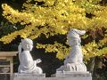 四條畷神社　ご近所で見つけた秋と 感動したお話