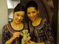 【予告編】出張のついでに(16) 2度目のシンガポール (2012年11月 ハイデラバード・ムンバイ出張＋おまけのシンガポール）