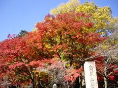 高尾山ハイキング