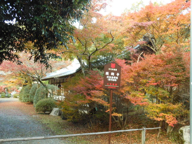 毘沙門堂の次に来たのは<br />醍醐寺です桜の綺麗な寺で有名な所です<br /><br />豊臣秀吉が開いた「醍醐の花見」を契機に秀吉、秀頼によって金堂、三宝院、<br />山上では開山堂、に如意輪堂など再建される<br />江戸時代になると醍醐寺歴代座主が居住する三宝院が幕府より当山派修験の本山で有ると<br />明確に位置ずけられた<br />一千百有余年の歴史を持つ寺です（パンフレットから）<br /><br />此処の周りには色々寺社が在りますが、次回に<br /><br /><br />