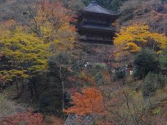 丹波紅葉三山巡り　～高源寺・円通寺・石龕寺～