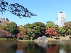 2012年都立庭園紅葉巡り