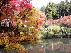 紅葉真っ盛りの篠山・洞光寺と銀杏の宇土観音