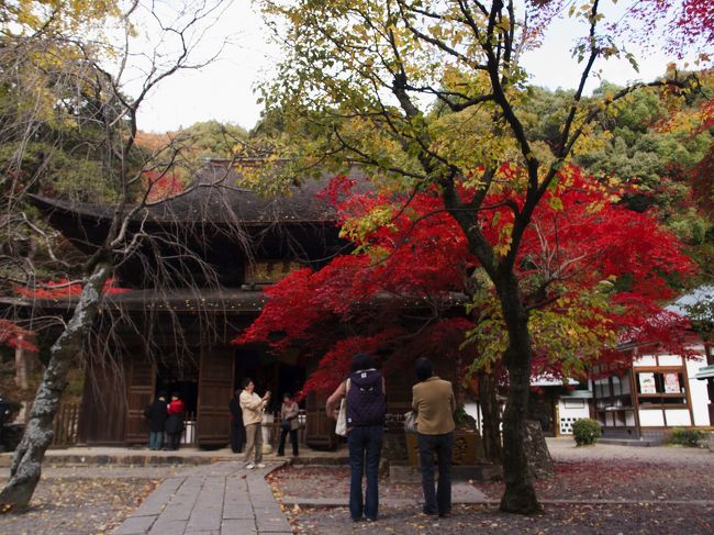 愛知県瀬戸市にある応夢山・定光寺へ紅葉を見てきました<br /><br />ちょうど見頃でとても綺麗でしたよ<br /><br />本堂は国の重要文化財。禅宗様式の建築<br /><br />