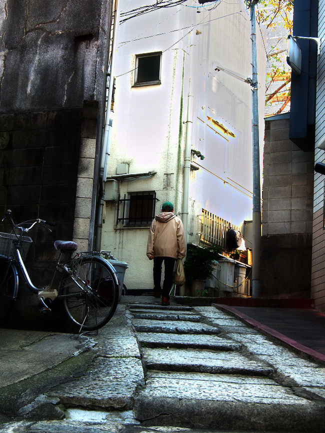 昔、四谷に1年ほど住んでいたことがあるが(86年頃のバブルの頃・・年がバレるね・・)、その後、あまり足を運ぶ機会もなくなり・・。<br /><br />当時の記憶では、大通りから逸れて内側の住宅街へ入り込めば、細い路地が所々にあったり、お寺があったり、いい雰囲気の町並みだった。<br /><br />で、久々に、ちょっと四谷を散策したくなっちゃった・・。<br /><br />四谷といっても広いので、エリアを絞ろう・・と情報を集めていたら、新宿通りを挟んで、住んでいたエリアと反対側にある荒木町という辺りに、迷路のような路地の町並みがあるらしい・・・。路地の町!?と聞いて、そりゃあ、行ってみるっきゃないよね~!と、わくわくしながら、懐かしの四谷散策に出かけたのである。