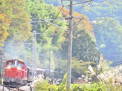 水上・諏訪峡の沿線に広がる紅葉を探しに訪れてみた