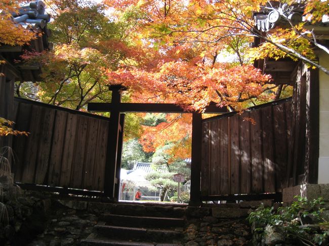 毎年行く京都♪今年は紅葉シーズンに〜。<br />母娘で行く二人旅　日航プリンセスホテルに泊まって、のーんびり歩いて京都。<br />紅葉は、最高でした。