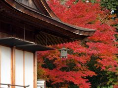 秋晴れの京都ウォーク10　嵐山・大河内山荘