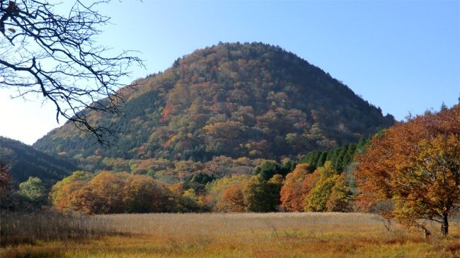 今年の私は”行楽の秋”<br />紅葉を探す旅行も今日で3回目。<br />今月は色々予定も多いので、空いているお天気の良い休日、しかも平日なら<br />静かな紅葉狩りが楽しめるだろう・・・と出かけました。<br /><br />ここ数年のうちでも好きな場所で 何度も行ってる”紅葉狩りの穴場”と思っている「大沼園地」<br />ここは知る人ぞ知る・・・の本当に景色の良い素敵な場所です。<br />そして、行ってみたいと思いつつ、なかなか行かれなかった「八方ヶ原」へも。<br /><br />どちらもほとんど人の居ない静かな場所で、きれいに色づいた木々を思う存分楽しめました。<br /><br />今日は出発がお昼近くになってしまったので、<br />途中でお昼のサンドイッチなどを買って車の中で食べる・・・という忙しい感じになってしまいましたが、<br />やっぱ、もっと早く出て「大沼園地｣でお弁当にすればよかった・・・。<br />でも、やや傾きかけた短い秋の太陽が当たるきれいな紅葉が見られたのはよかったかも？<br /><br />すばらしい景色にどっぷり浸かれた秋の午後でした。<br /><br />表紙画像は大沼園地から見た、「新湯富士」<br /><br />前回&quot;大沼園地”の旅行記は<br />2008年10月29日<br />静かな紅葉を探して・後半 穴場発見！大沼園地<br />http://4travel.jp/traveler/marimomaman/album/10284429/