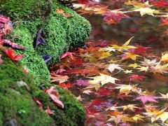 秋晴れの京都ウォーク11　嵐山・常寂光寺