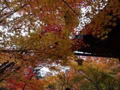 「そうだ、岐阜から、京都、行こう。」２０１２・晩秋・人気寺と穴場寺をハシゴ☆１／３東福寺＆泉湧寺