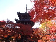 「そうだ、岐阜から、京都、行こう。」２０１２・晩秋・人気寺と穴場寺をハシゴ☆３／３真如堂＆金戒光明寺ほか