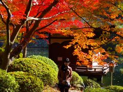 和歌山城の紅葉渓庭園（もみじだにていえん)：西の丸庭園とも呼ばれており、そこの紅葉と他、和歌山城内の紅葉をご紹介します。