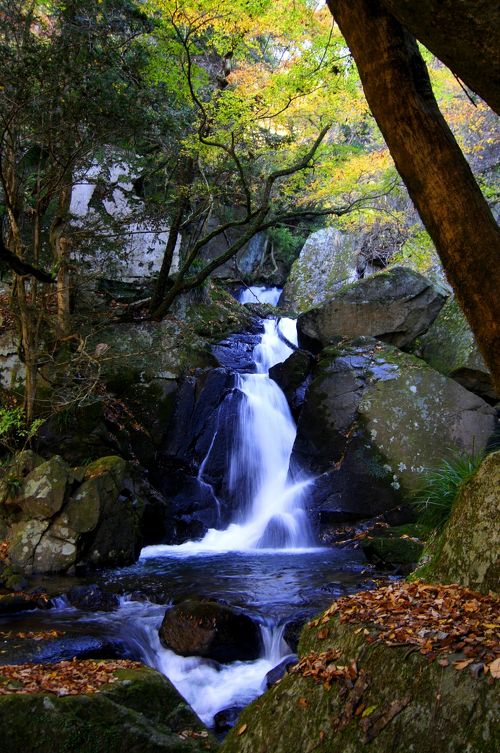 ◇東北最南端の秘境・晩秋の滝川渓谷』東白川・石川(福島県)の旅行記