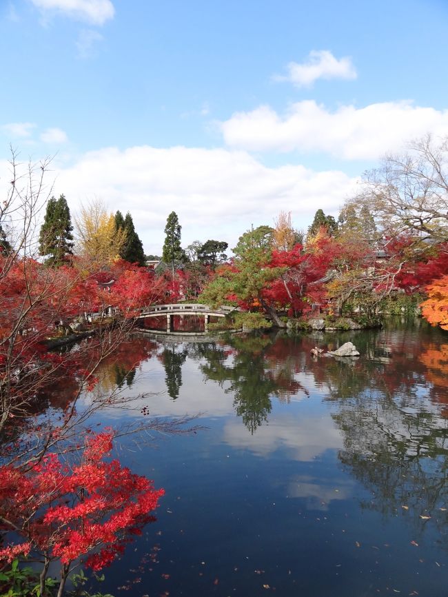 毎秋のライフワークと勝手に名付けている＾０＾「日帰り京都紅葉見物＠平日有休旅」<br />今年も無事（勝手に）有休を頂き、京都紅葉狩りに行って来ました。<br /><br />今年は去年よりも見頃が早いらしい、、というわけで当初の予定を少し早め三連休前に。<br />行き先は、、事前にネットや旅行記で調べるとどこもかしこも見頃ばかり！！どこに行こうか～なんて贅沢な悩みを抱えながら、下記の選考基準により行き先決定。<br /><br />①毎年定番だけど、やっぱり行っておきたいところ<br />②でも毎年少しずつ新しい場所も開拓したい<br />③京都４トラ友人から聞いたオススメスポットも行っておきたい<br /><br />というわけで、今年もバスツアー顔負けの紅葉巡りはスタートです♪<br /><br />２／３　は人気寺のハシゴ、南禅寺＆永観堂　編です。