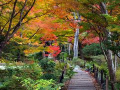 秋晴れの京都ウォーク12　嵐山・宝筐院