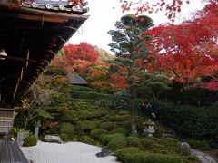 紅葉狩り　京都　圓光寺～詩仙堂～金福寺③