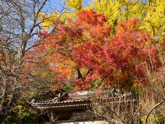 富貴寺の紅葉