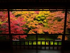 紅葉狩りは京都へ行こう～瑠璃光院編～