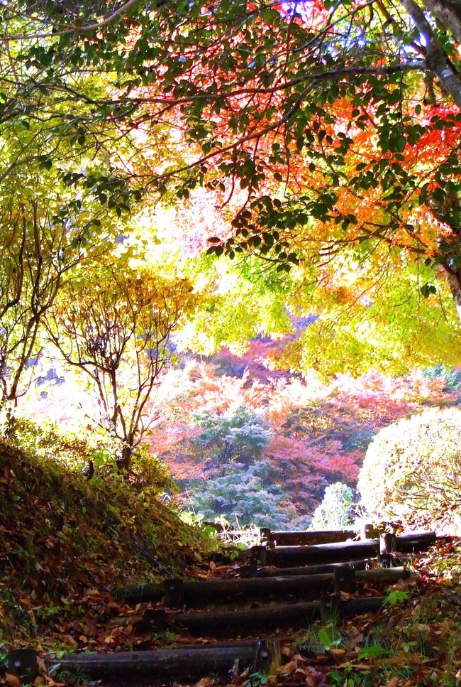 大阪のえぇトコを毎月撮影して紹介しております。<br />１０月は北区中崎町・中津。１１月は紅葉。１２月は御堂筋のライトアップ「光のルネッサンス」<br />http://www.tetujin60.com/article.php/LaPhotosOSAKA