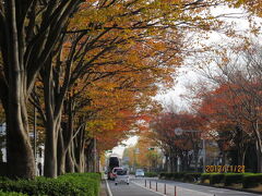 柏市の柏の葉公園・紅葉・2012年11月