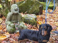 愛犬と紅葉の箱根へ②　長安寺