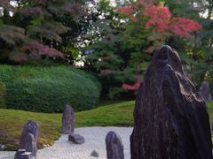 2012　京都紅葉だより　色付き始めた東福寺界隈～光明院へ