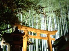 青蓮院 夜の特別拝観