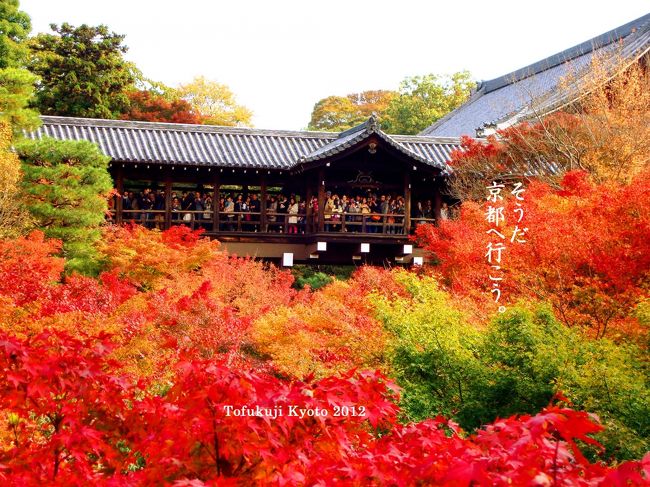 紅葉時期の京都観光は初めての京都ビギナーの私達。<br />ガイドブックがなくては電車やバスも全く分からないし地名の読み方も分からない、気分は外国人♪<br />京都は中学の修学旅行や出張を含めて5回目。一方旦那は昔、転勤で大阪に5年住んでいたにも関わらず清水寺も初めて！と言うではないか...<br />という訳で横浜市から京都の王道紅葉名所を散策してきました＜前編＞<br /><br />東福寺〜清水寺〜南禅寺〜湯豆腐懐石＠順正<br />高台寺、祇園、伏見稲荷<br /><br />紅葉は見頃でしたが、日曜日は予想以上にすごい人で名所スポットで撮影するのも大変でした...紅葉の京都は平日行くに限る。<br /><br />表紙:東福寺