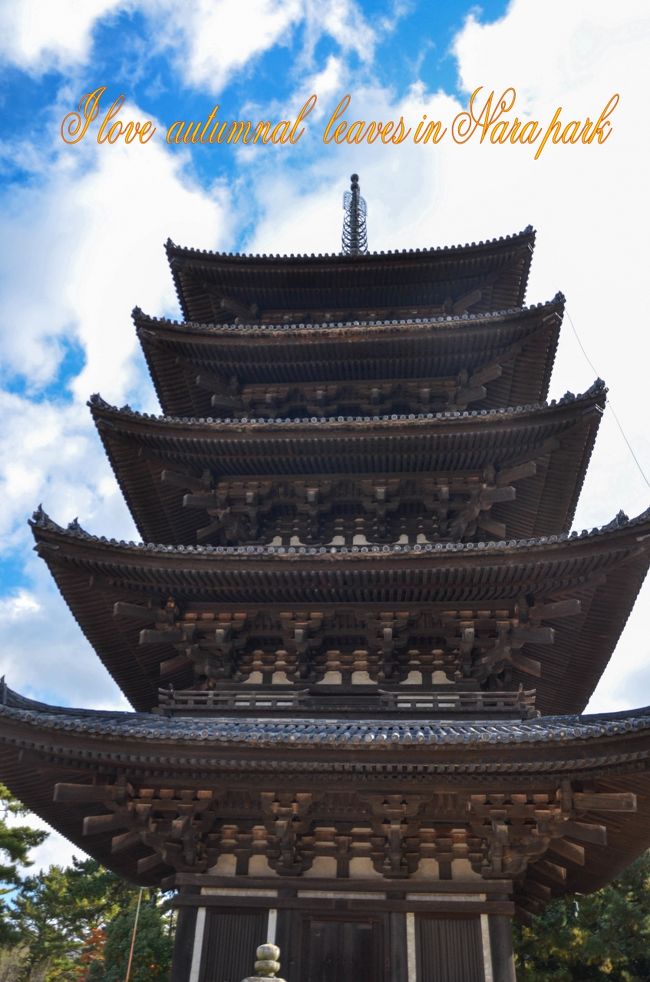 奈良公園で紅葉を愛でる 奈良市 奈良県 の旅行記 ブログ By 大目付さん フォートラベル 奈良公園で紅葉を愛でる 奈良市 奈良県 の旅行記 ブログ By 大目付さん フォートラベル