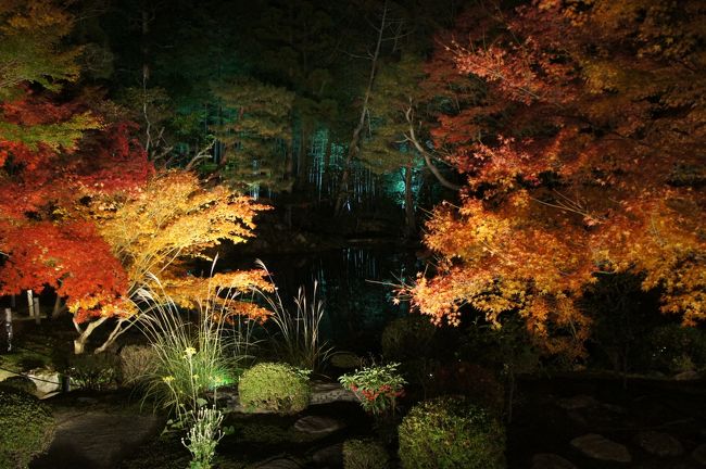 見たぜ！！　２０１２　京都府　『南禅寺天寿庵のライトアップ♪天授庵の庭園の紅葉はきれいだった！！』　ＩＮ　南禅寺