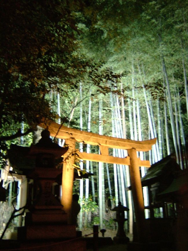 京都・東山の青蓮院(青蓮院門跡)の夜のライトアップを鑑賞しました。<br />幻想的で、きれいな光景でした。