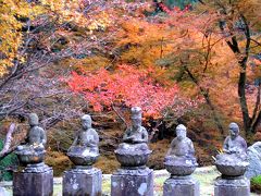 連休直前の京都の紅葉（2012年11月22日撮影の速報）