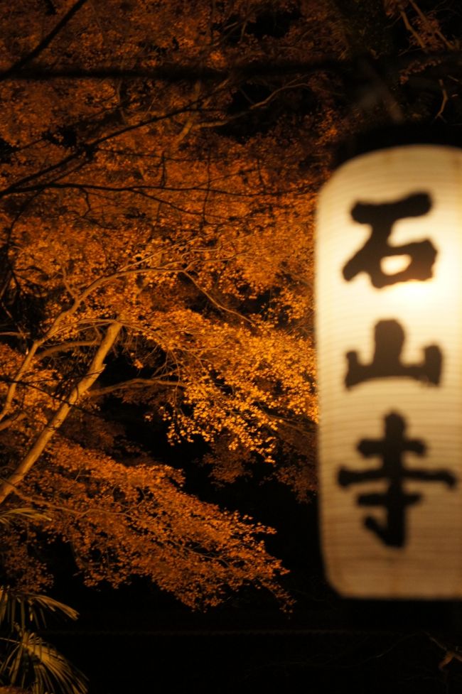 京都市動物園〜南禅寺天授庵ライトアップ〜石山寺<br /><br />・南禅寺（徒歩５分）〜蹴上駅（地下鉄）〜山科駅（地下鉄）<br />・山科駅（ＪＲ）〜石山駅（ＪＲ）<br />・京阪石山駅〜石山寺駅まで行き、そこから徒歩１０分で石山寺に到着。<br /><br />１１月２５日までの石山寺のライトアップに行ってきました。<br /><br />ＴＯＰ写真：紅葉と石山寺のちょうちん