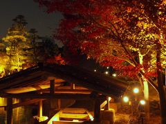 美しくライトアップされる紅葉を眺めて。。。錦を纏う徳川園　紅葉祭　紅葉よりも美しく輝く姫たち　あいち戦国姫隊の演舞